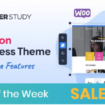 Masterstudy - Education WordPress Theme