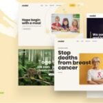 Caridad - Charity WordPress